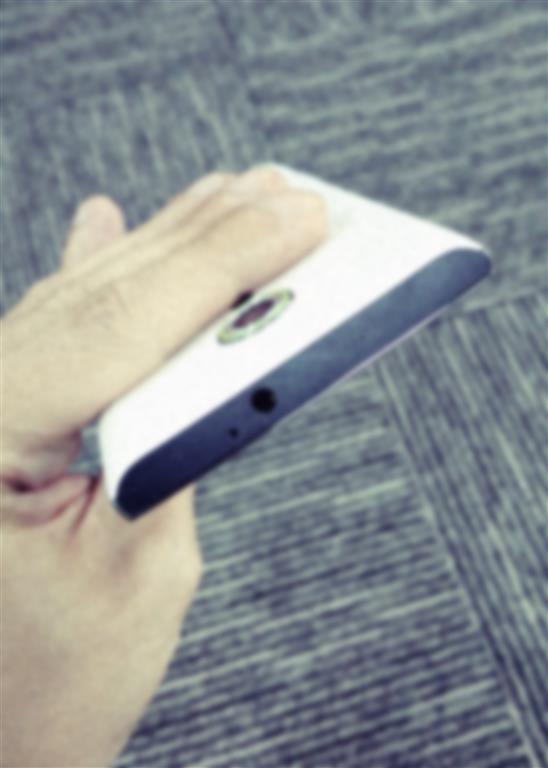 IMG_20150811_131548 (Medium)