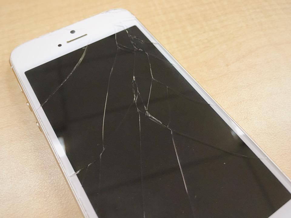 6849_499999946849896_2170797886553047368_n