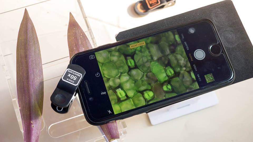 ฝีมือคนไทย!! จุฬาฯ Smart Lens เปลี่ยนกล้องมือถือให้กลายเป็นกล้องจุลทรรศน์ขนาดพกพา