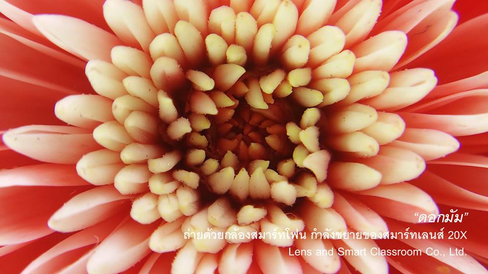 chula-smart-lens-example-pic-1