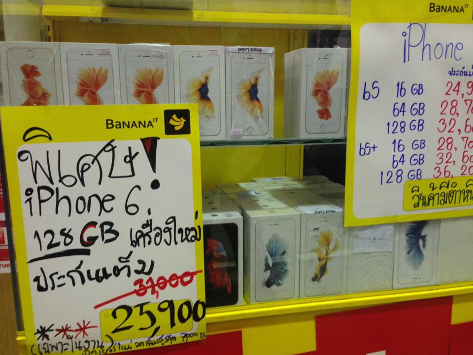 13879465_1284542481586163_783207269399099694_n