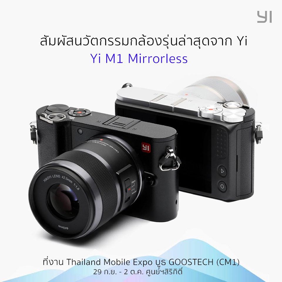 14435382_1146263032110740_5203830999393659049_o