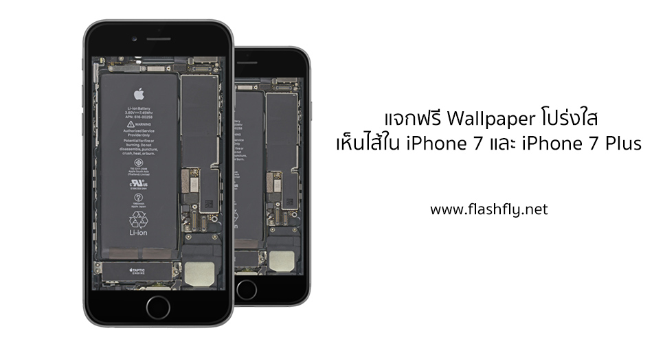 แจกฟรี Wallpaper โปร่งใสเห็นไส้ใน iPhone 7 และ iPhone 7 Plus ดาวน์โหลดได้ที่นี่
