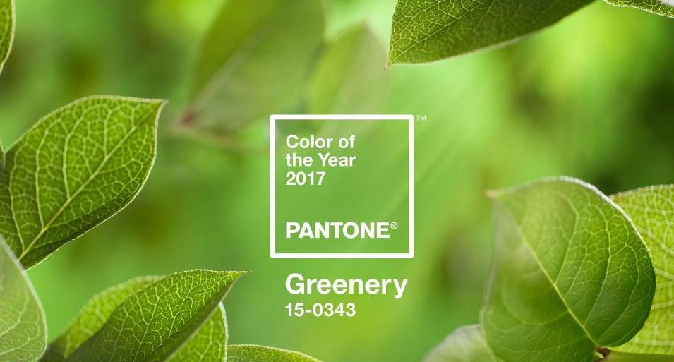 PANTONE-Color-of-the-Year-2017-Greenery-15-0343-leaves-2732x2048-1200x900