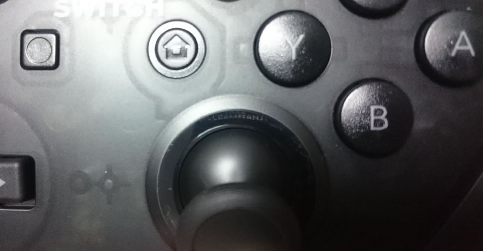 Nintendo-Switch-Pro-Controller-2