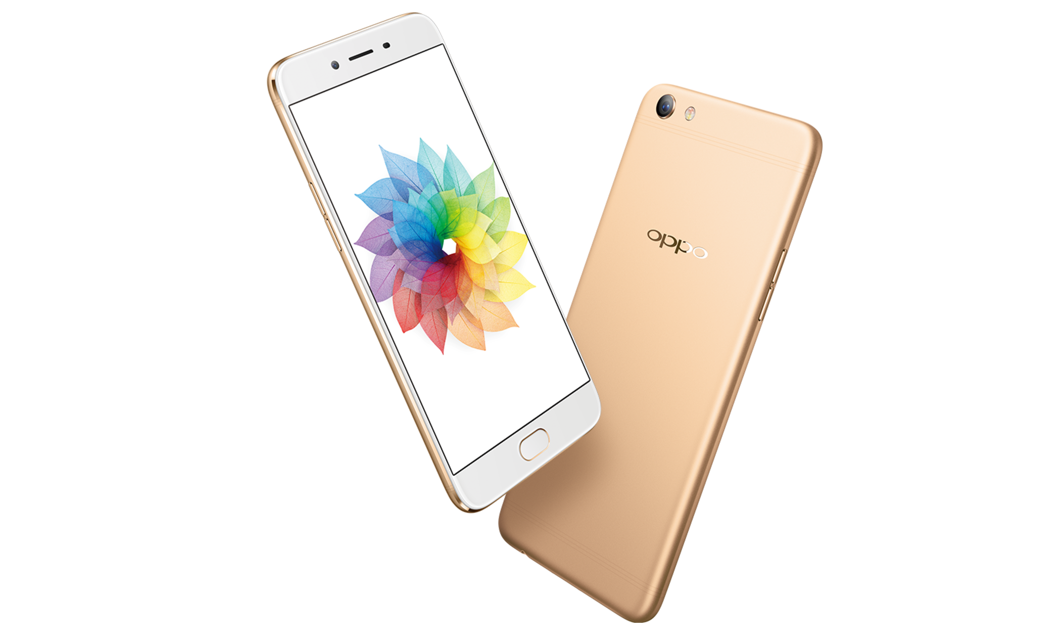 Screen Shot 2560-03-31 at 18.24.05