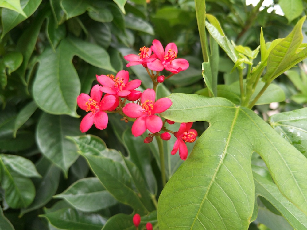 IMG20170405162442 copy