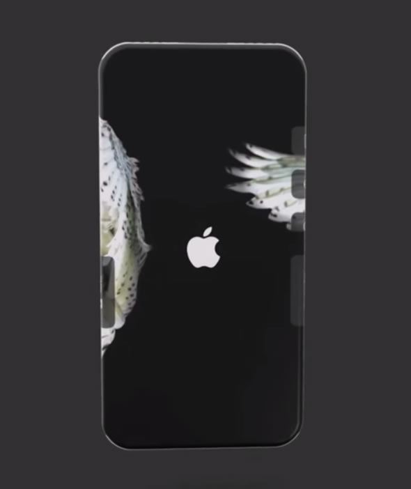 iphone-2020-concept-11