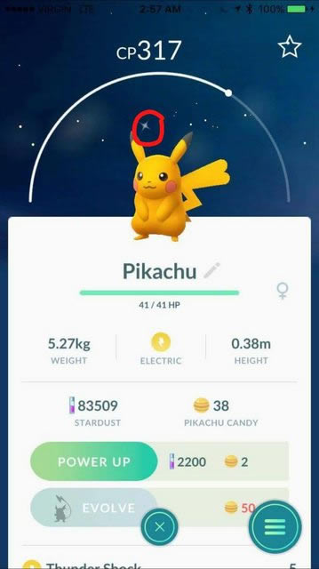 Shiny-Pikachu-Pokemon-Go