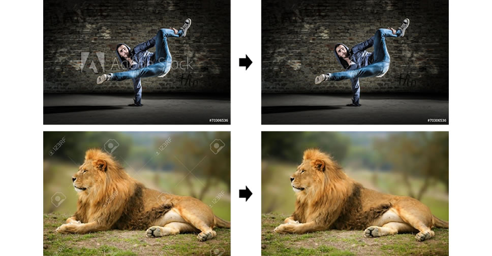 นักวิจัยคิดวิธีลบลายน้ำ หรือ  Watermark บนรูปภาพโดยอัตโนมัติ ไม่ต้องใช้ Photoshop ให้ยุ่งยาก