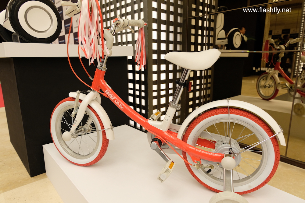 segway-ninebot-2017-flashfly0991