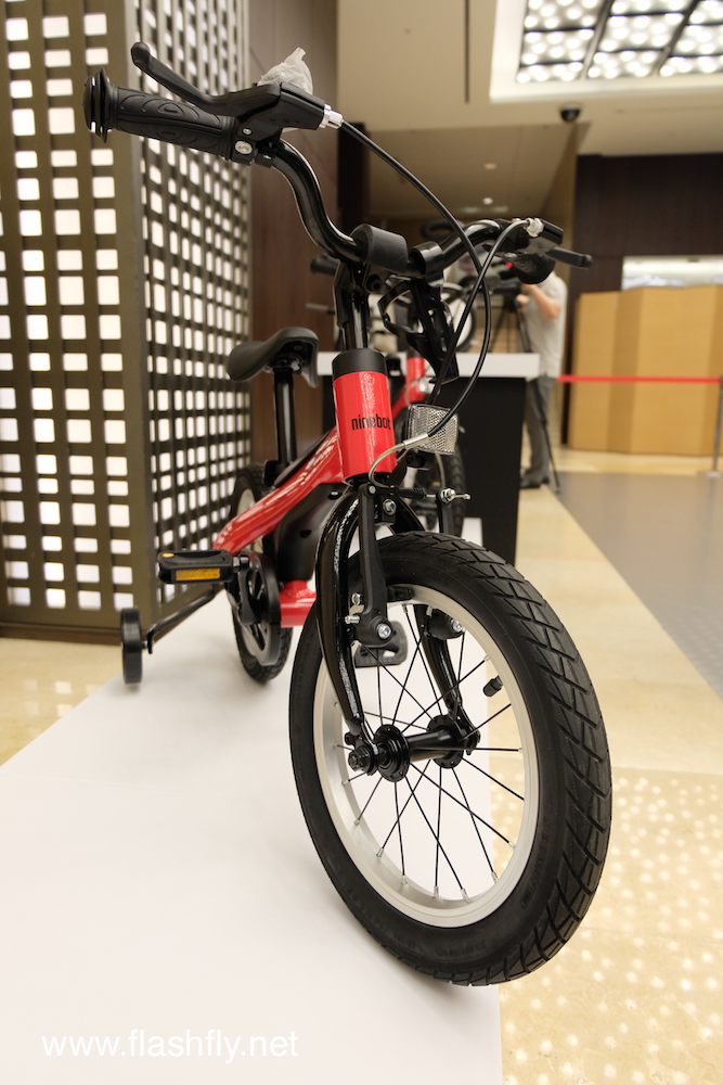 segway-ninebot-2017-flashfly0993
