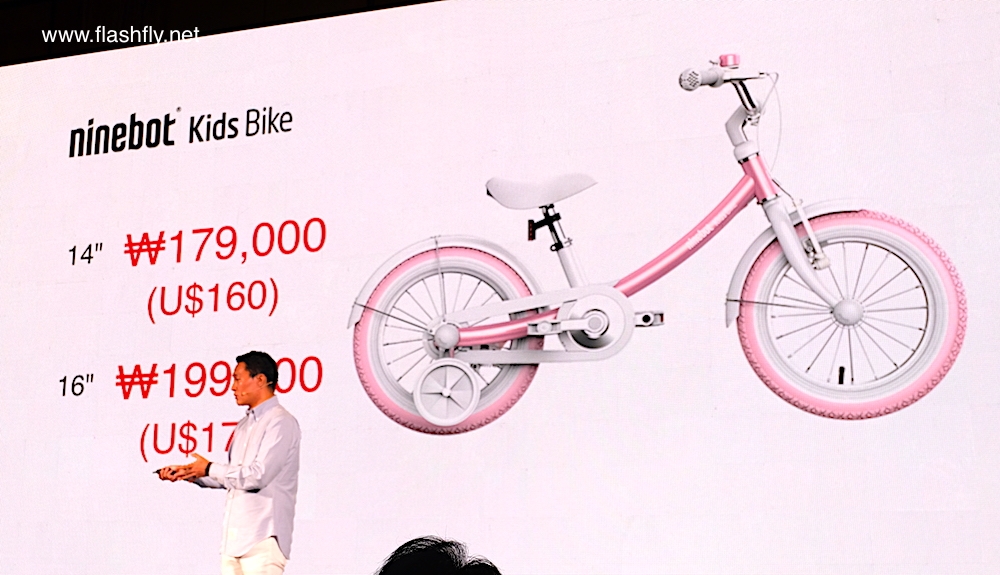 segway-ninebot-2017-flashfly1045