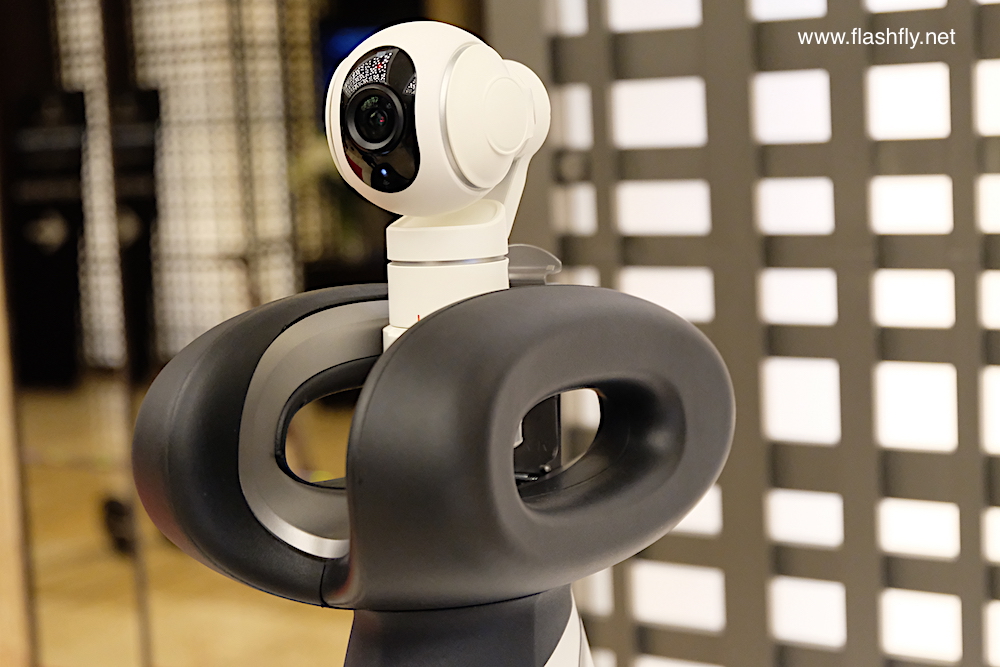 segway-ninebot-2017-flashfly1100