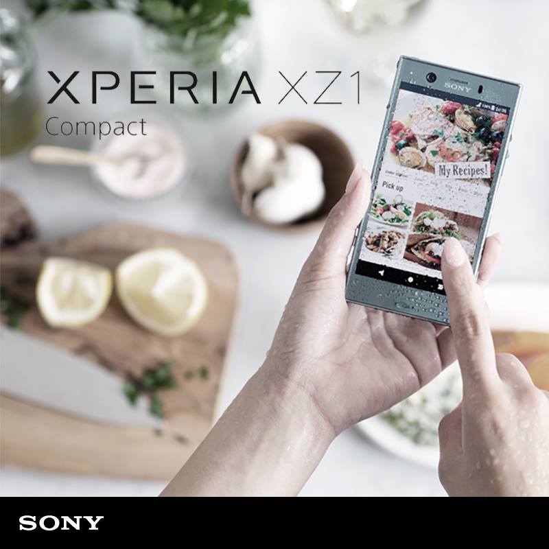 22310530_10155750605383194_432246293230075309_n