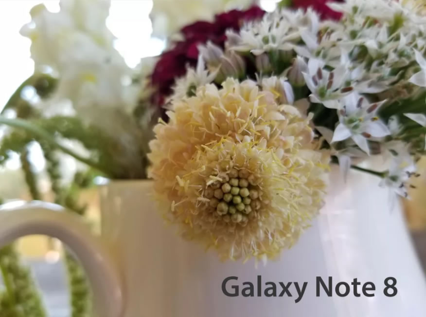 Close-up-Galaxy-Note-8-2