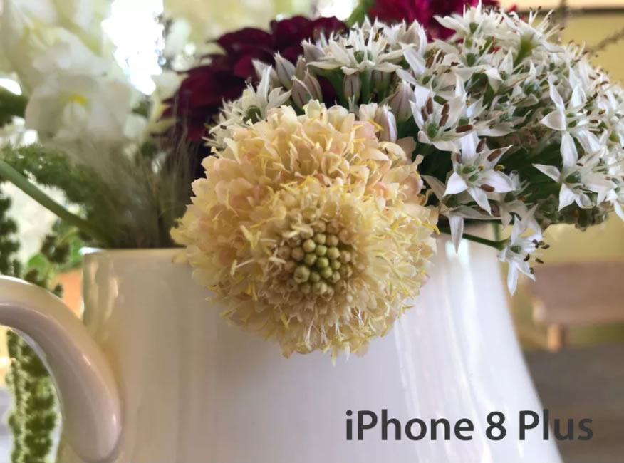 Close-up-iPhone-8-Plus-2