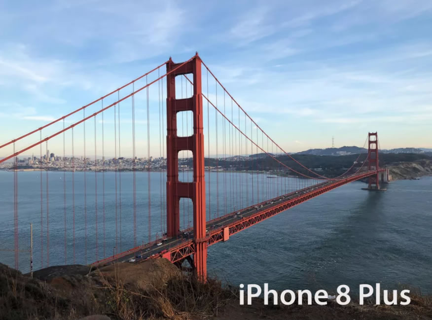 Landscape-iPhone-8-Plus-2