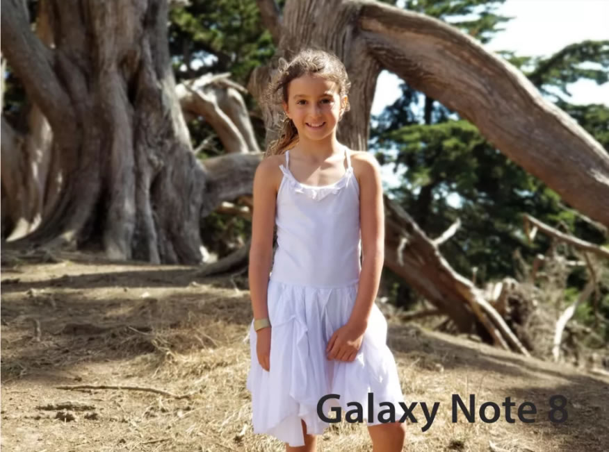 Portrait-Galaxy-Note-8