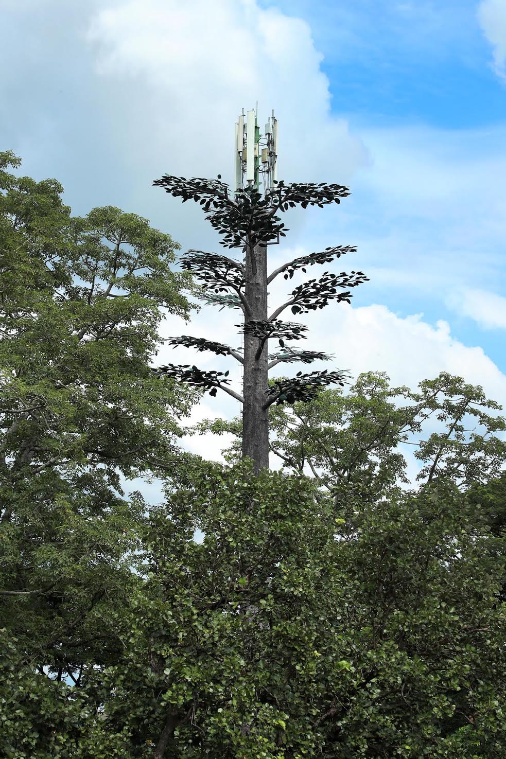 dtac เผยโฉมนวัตกรรมเสามือถือในแบบต่างๆ มาติดตั้งเพื่อรองรับการใช้งานดิจิทัล รายแรกในไทย