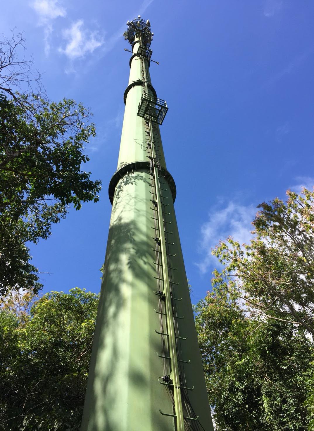 dtac เผยโฉมนวัตกรรมเสามือถือในแบบต่างๆ มาติดตั้งเพื่อรองรับการใช้งานดิจิทัล รายแรกในไทย