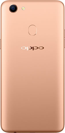 oppo-a73-Champagne-back