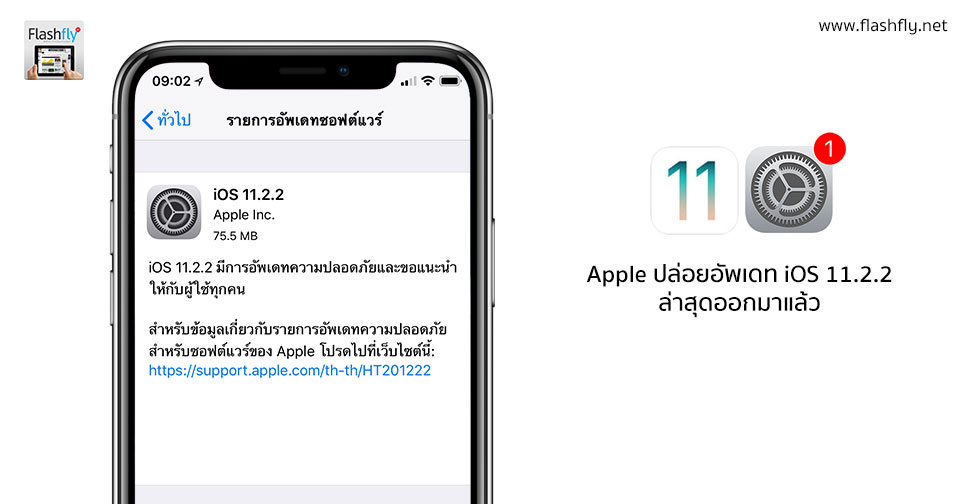 iOS-11.2.2-flashfly