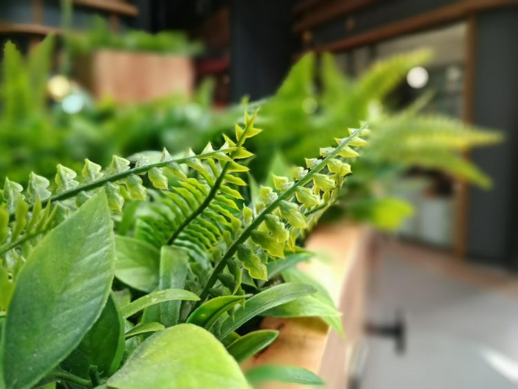 พรีวิว Meizu Pro 7 Plus สมาร์ทโฟนพรีเมี่ยม 2 หน้าจอ RAM 6GB+ROM 64GB พร้อมกล้องคู่สุดเทพ เซลฟี่ด้วยกล้องหลังได้