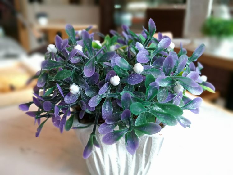 พรีวิว Meizu Pro 7 Plus สมาร์ทโฟนพรีเมี่ยม 2 หน้าจอ RAM 6GB+ROM 64GB พร้อมกล้องคู่สุดเทพ เซลฟี่ด้วยกล้องหลังได้