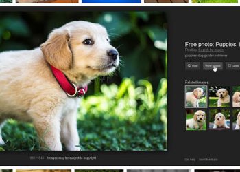 วิธีการนำปุ่ม View Image กลับคืนมา สำหรับการค้นหารูปภาพใน Google