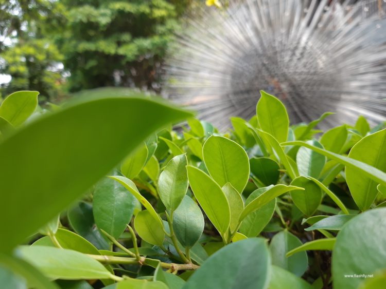 รีวิว Samsung Galaxy A8 และ Galaxy A8+ (2018) หน้าจอไร้กรอบไร้ปุ่มโฮม กล้องหน้าคู่ สเปกแฟลกชิปในราคาหมื่นกลางๆ