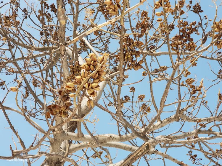 รีวิว Samsung Galaxy S9 และ Galaxy S9+ สมาร์ทโฟนสุดล้ำกล้อง F/1.5 ถ่าย Slo-mo ได้ 960 fps และฟีเจอร์โดนใจ AR Emoji