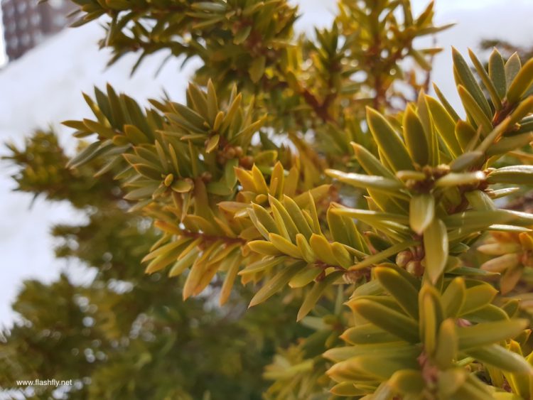 รีวิว Samsung Galaxy S9 และ Galaxy S9+ สมาร์ทโฟนสุดล้ำกล้อง F/1.5 ถ่าย Slo-mo ได้ 960 fps และฟีเจอร์โดนใจ AR Emoji