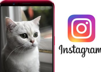 Instagram มีแผนเพิ่มฟีเจอร์กล้อง Portrait Mode ลงในแอพพลิเคชั่น