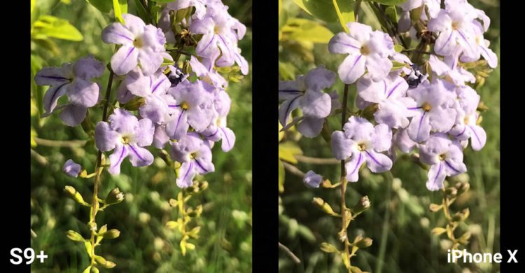 เปรียบเทียบคุณภาพกล้อง Samsung Galaxy S9+ กับ iPhone X ทั้งภาพนิ่งและวีดีโอ (ชมคลิป)