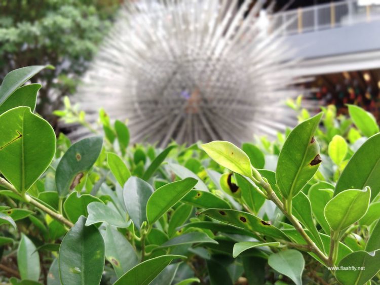 รีวิว Honor 7C มาพร้อมกล้องคู่หน้าจอ Fullview ขนาด 5.99 นิ้ว ปลดล็อคด้วยใบหน้า ราคาสุดคุ้มไม่ถึง 5,000 บาท