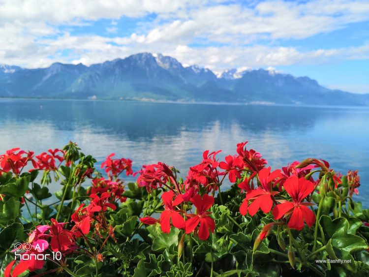 รีวิว Honor 10 สุดยอดแฟลกชิป กล้องคู่ 24MP พร้อม AI  อัจฉริยะ ดีไซน์กระจก Aurora สุดงาม ความจุ 128GB ราคาสุดคุ้ม