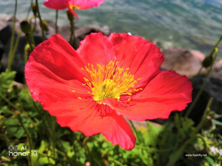 รีวิว Honor 10 สุดยอดแฟลกชิป กล้องคู่ 24MP พร้อม AI  อัจฉริยะ ดีไซน์กระจก Aurora สุดงาม ความจุ 128GB ราคาสุดคุ้ม