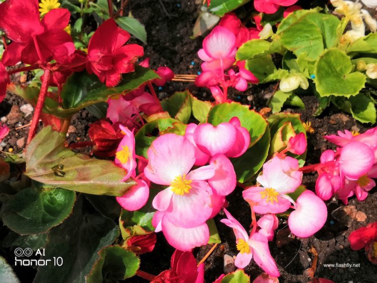 รีวิว Honor 10 สุดยอดแฟลกชิป กล้องคู่ 24MP พร้อม AI  อัจฉริยะ ดีไซน์กระจก Aurora สุดงาม ความจุ 128GB ราคาสุดคุ้ม