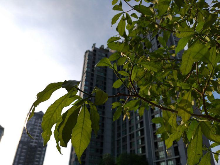 รีวิว Samsung Galaxy A6 และ A6+ สมาร์ทโฟนฟีเจอร์แฟลกชิป บอดี้โลหะ ในราคาสุดประหยัด