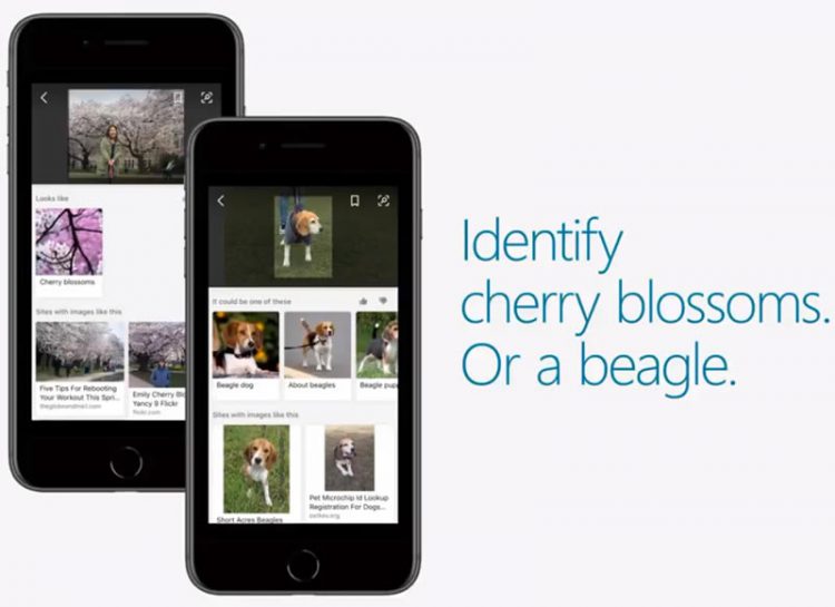 Microsoft อัพเดทแอพ Bing สำหรับอุปกรณ์ iOS เพิ่มฟีเจอร์ค้นหาข้อมูลจากกล้องด้วย AI