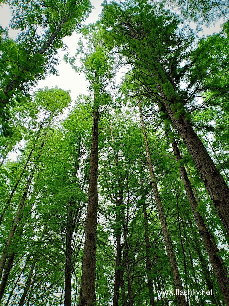 รีวิว OPPO F7 กล้องหน้า 25 ล้านพิกเซลพร้อม AI Beauty 2.0 จอ Super Full Screen ใหญ่สะใจ ดีไซน์สวย ไม่ถึงหมื่นบาท