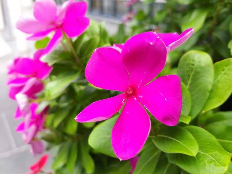 รีวิว Samsung Galaxy A8 Star จอใหญ่สะใจ 6.3 นิ้วสเปกเกมเมอร์ กล้องเลนส์คู่อัจฉริยะ F1.7 ราคา 17,990 บาท