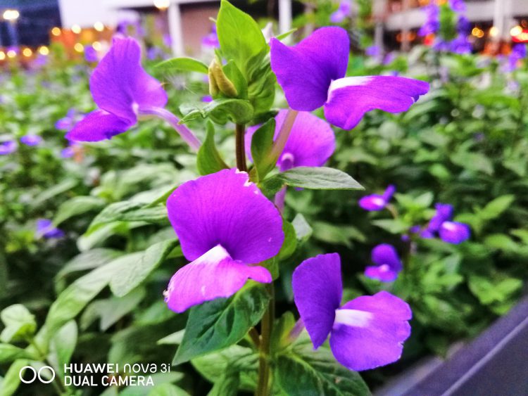 รีวิว Huawei Nova 3i สมาร์ทโฟน 4 กล้อง สมองกล AI รุ่นแรกในโลก ดีไซน์พรีเมี่ยม ความจุ 128GB ราคาไม่ถึงหมื่นบาท