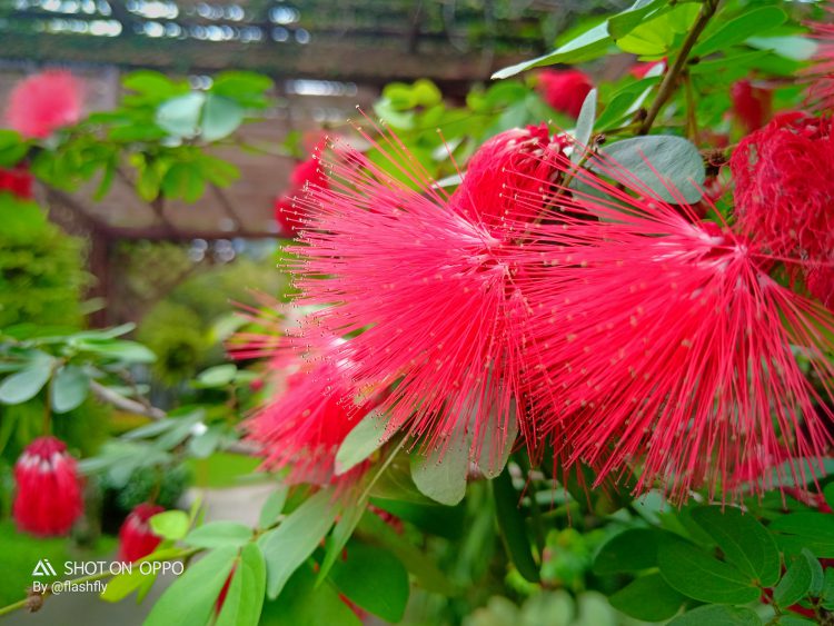 รีวิว OPPO F9 ฉบับจัดเต็ม ดีไซน์สุดงาม รองรับ VOOC Flash Charge ชาร์จ 5 นาทีคุยได้ 2 ชั่วโมง