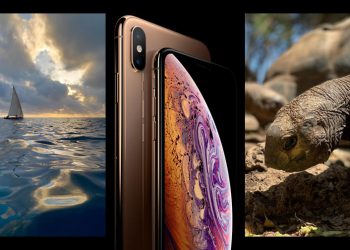 ชมภาพถ่ายจาก iPhone XS ฝีมือ Pete Souza และ Austin Mann ช่างภาพมืออาชีพ
