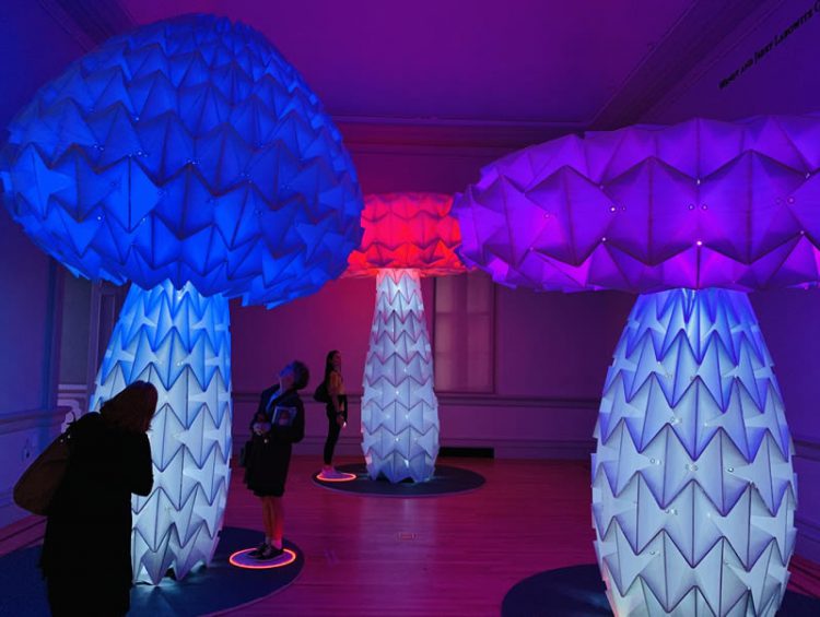 ชมภาพถ่ายจาก iPhone XS ฝีมือ Pete Souza และ Austin Mann ช่างภาพมืออาชีพ