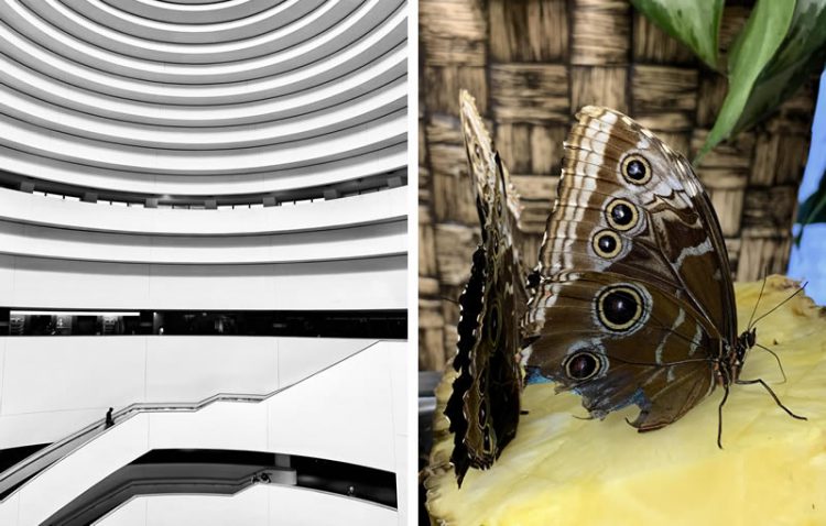 ชมภาพถ่ายจาก iPhone XS ฝีมือ Pete Souza และ Austin Mann ช่างภาพมืออาชีพ