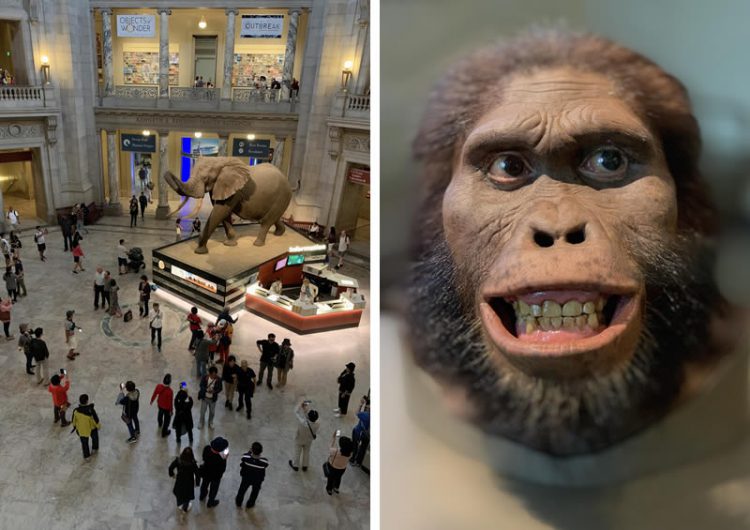 ชมภาพถ่ายจาก iPhone XS ฝีมือ Pete Souza และ Austin Mann ช่างภาพมืออาชีพ