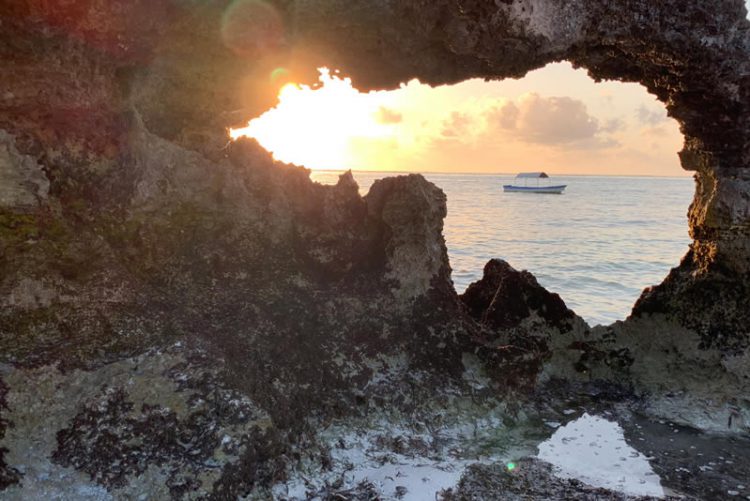 ชมภาพถ่ายจาก iPhone XS ฝีมือ Pete Souza และ Austin Mann ช่างภาพมืออาชีพ